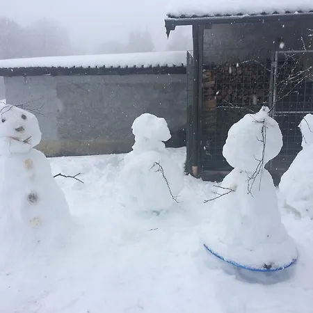 Rifugio Pranolz 招待所 *