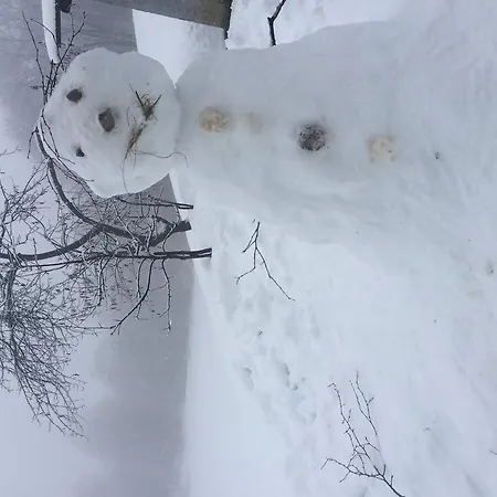 招待所 Rifugio Pranolz