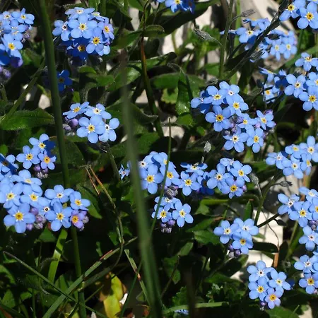 Rifugio Pranolz Vendégház 4*