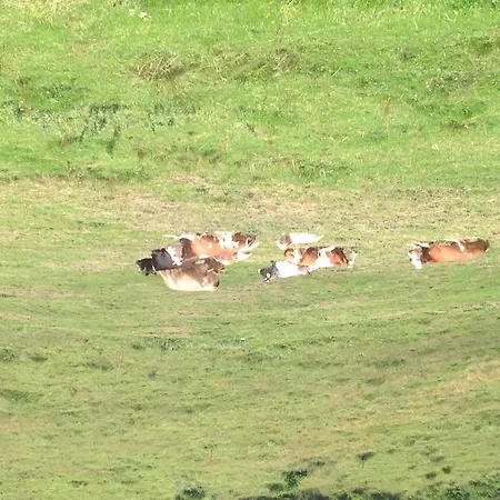 Rifugio Pranolz بيت ضيافة 4*